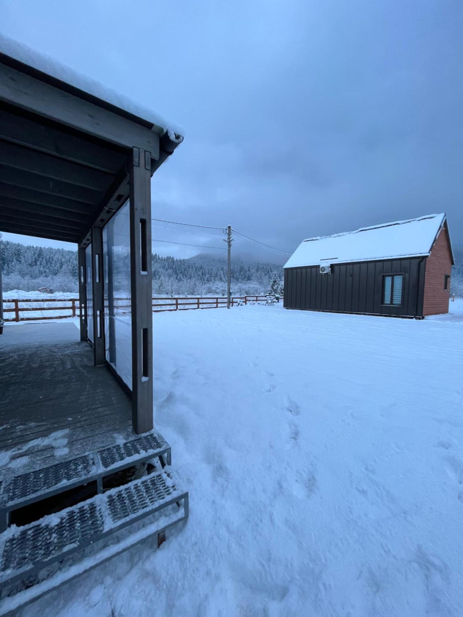 Вилла Barn S&S House Микуличин Экстерьер фото